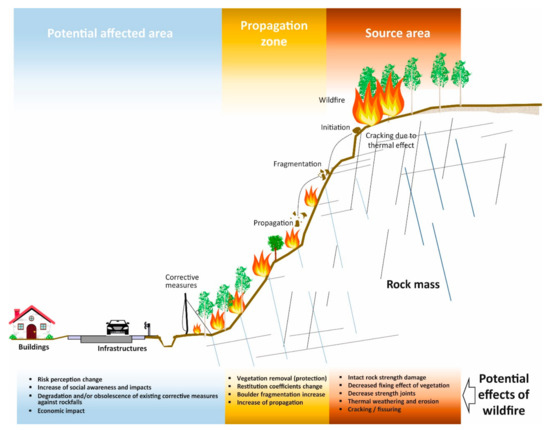 hii Frontiers | Medulloblastoma: biology and immunotherapy