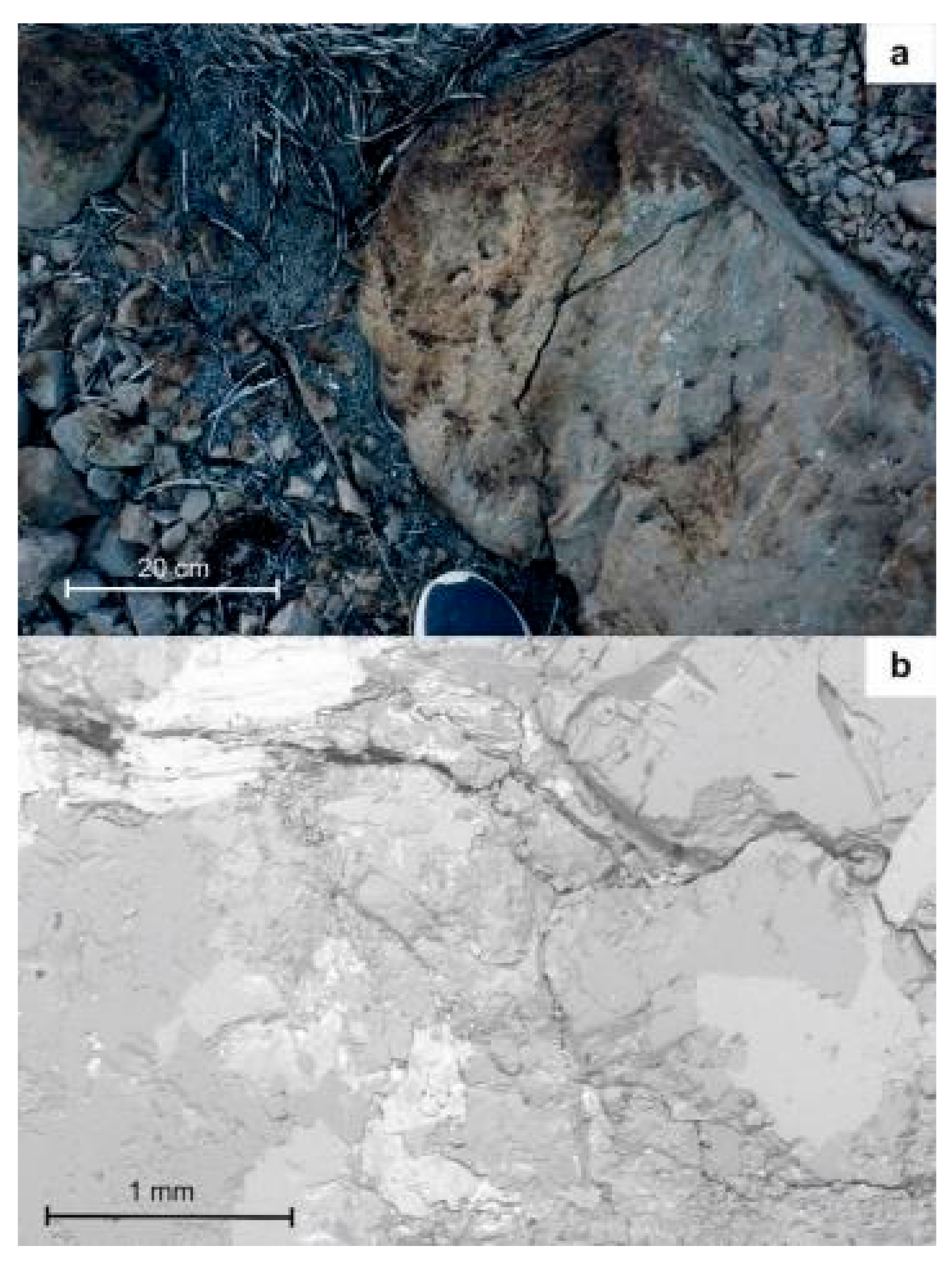 Applsci 11 02545 g003 Applsci 11 02545 g003