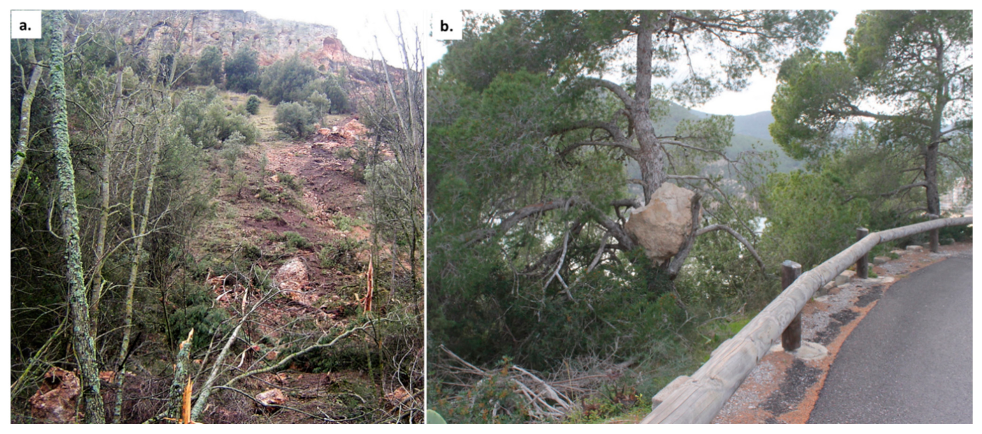 Applsci 11 02545 g005 Applsci 11 02545 g005