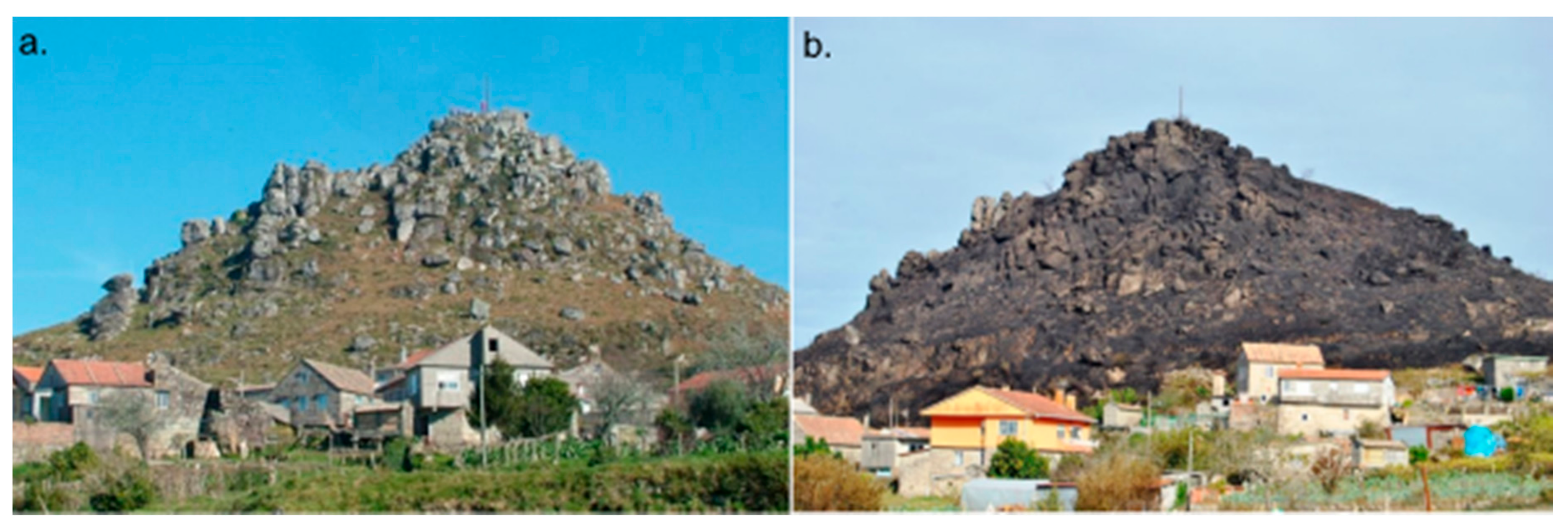 Applsci 11 02545 g008 Applsci 11 02545 g008