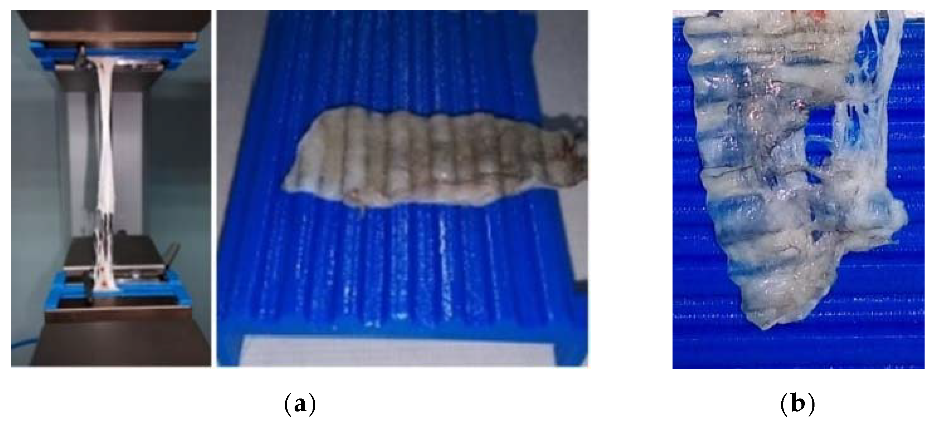 Applsci 11 02563 g006