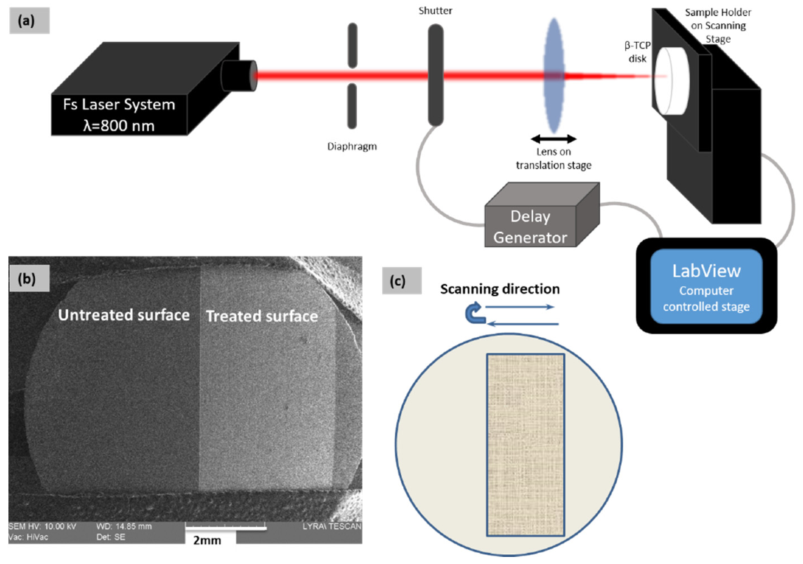 Applsci 11 02565 g001 Applsci 11 02565 g001