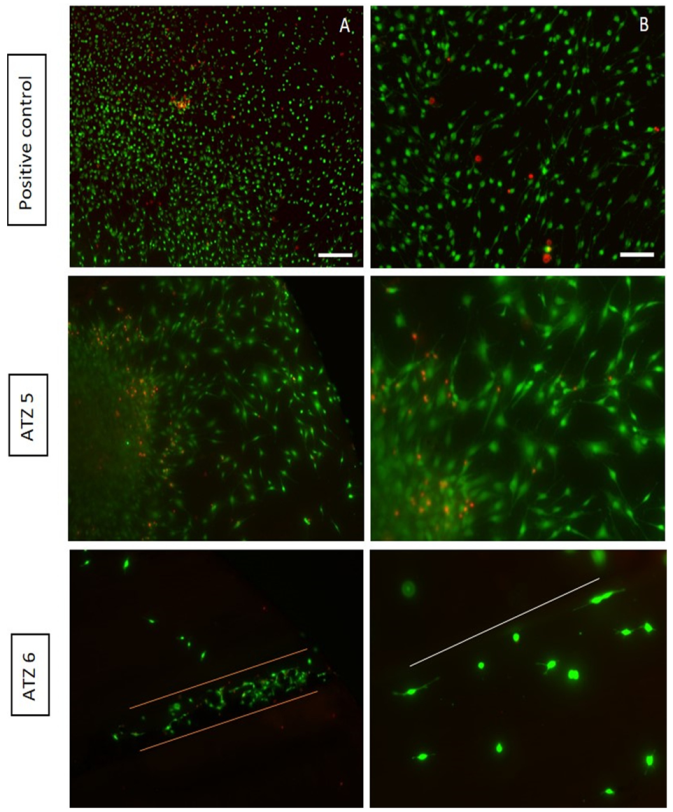 Applsci 11 02565 g010 Applsci 11 02565 g010