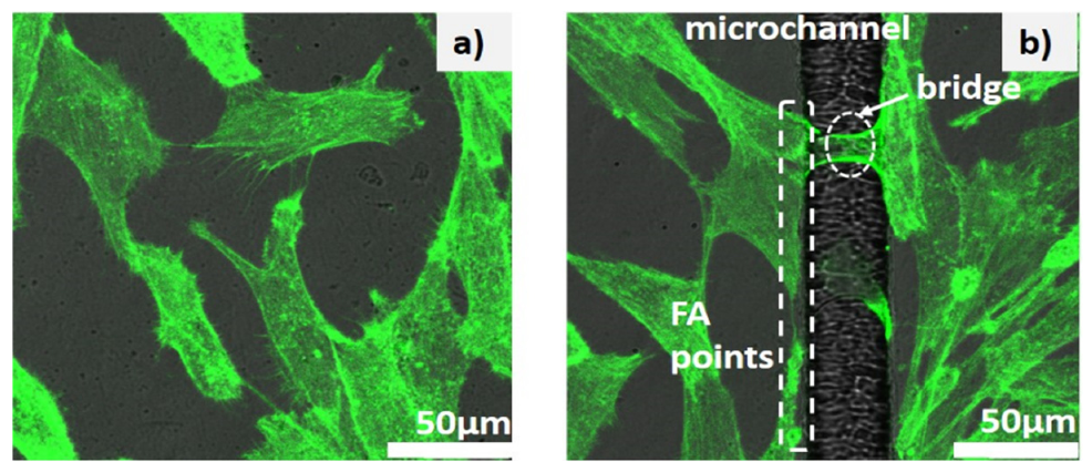 Applsci 11 02565 g012 Applsci 11 02565 g012