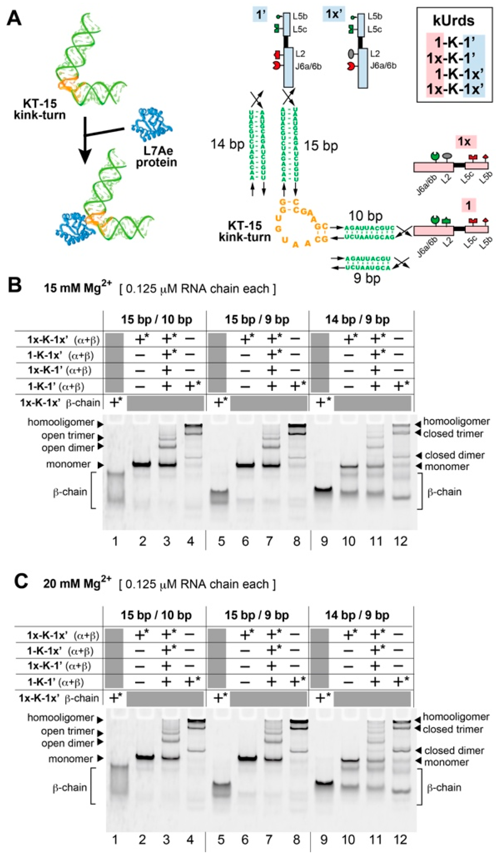 Applsci 11 02583 g002 Applsci 11 02583 g002