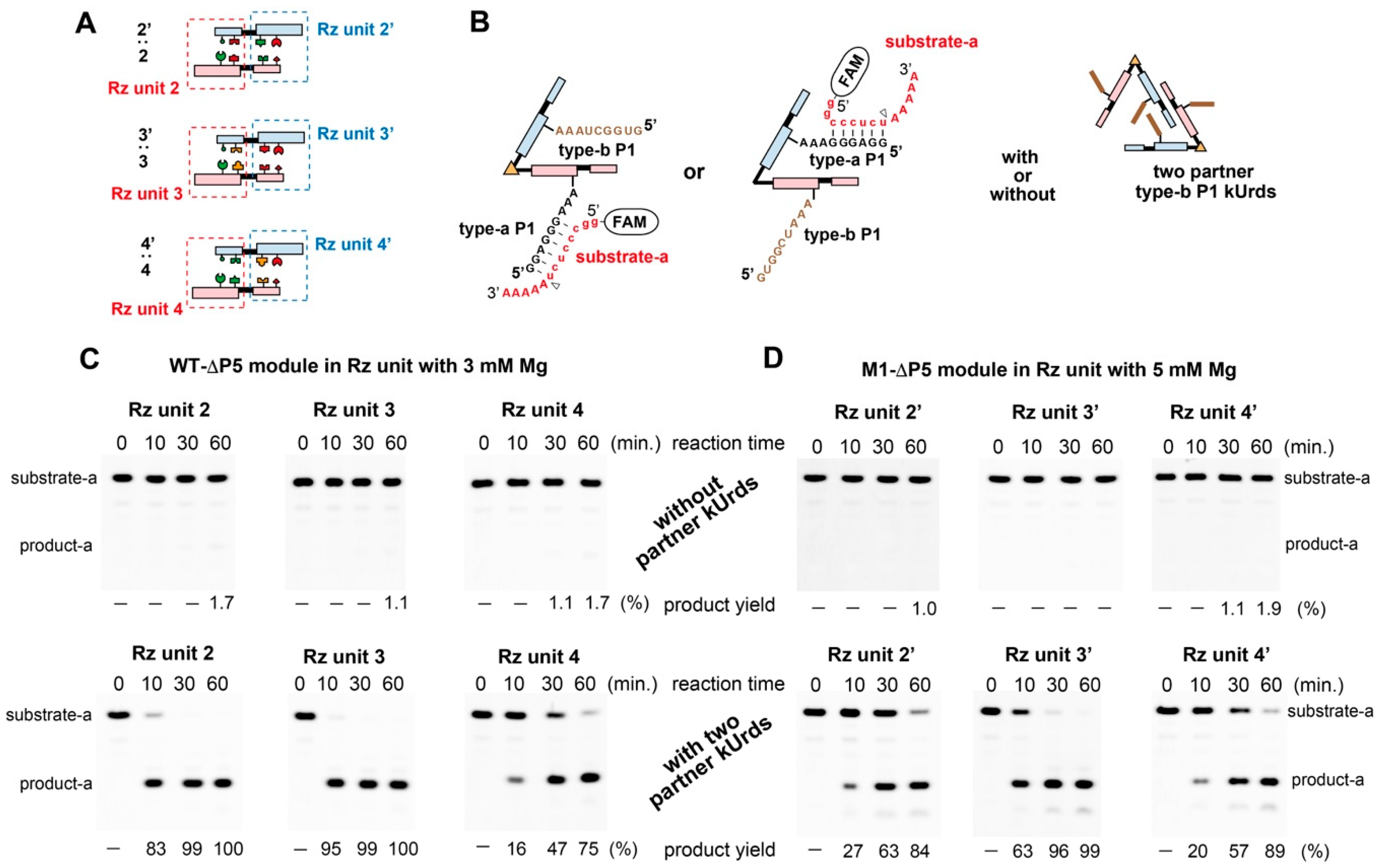 Applsci 11 02583 g006 Applsci 11 02583 g006