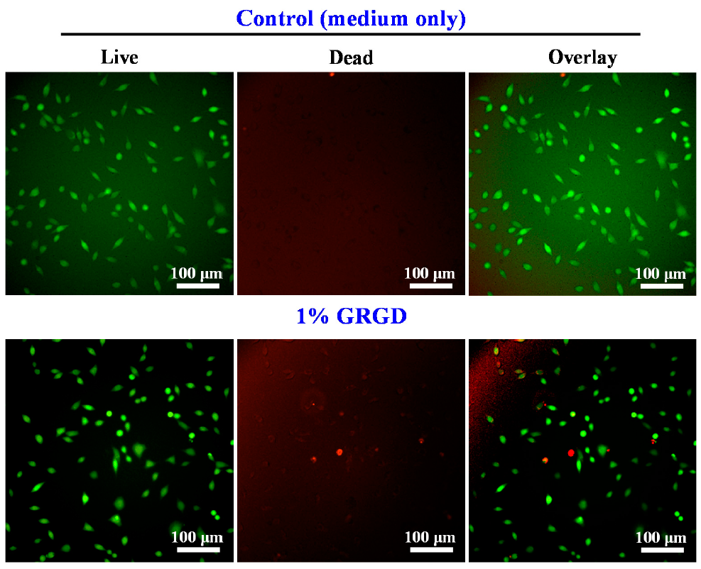 Applsci 11 02616 g004a Applsci 11 02616 g004a