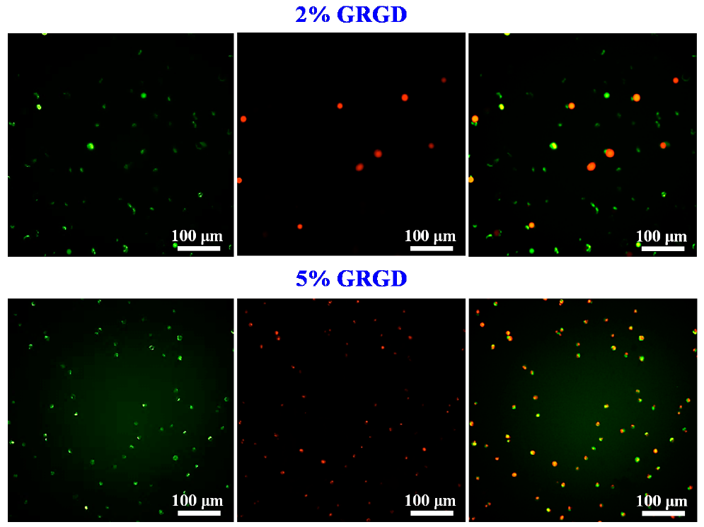 Applsci 11 02616 g004b Applsci 11 02616 g004b