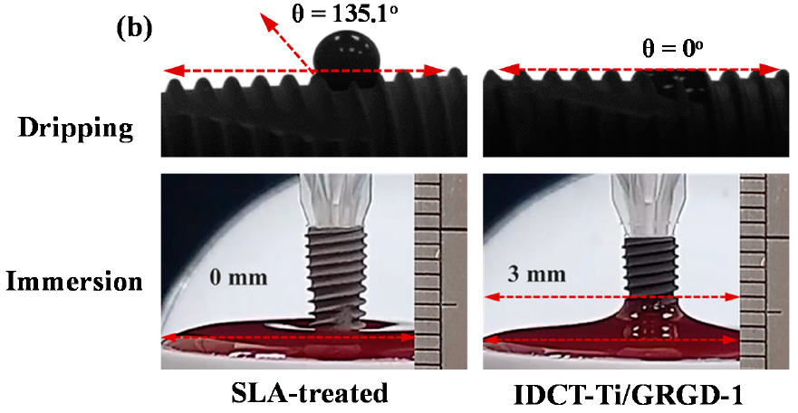 Applsci 11 02616 g005b Applsci 11 02616 g005b
