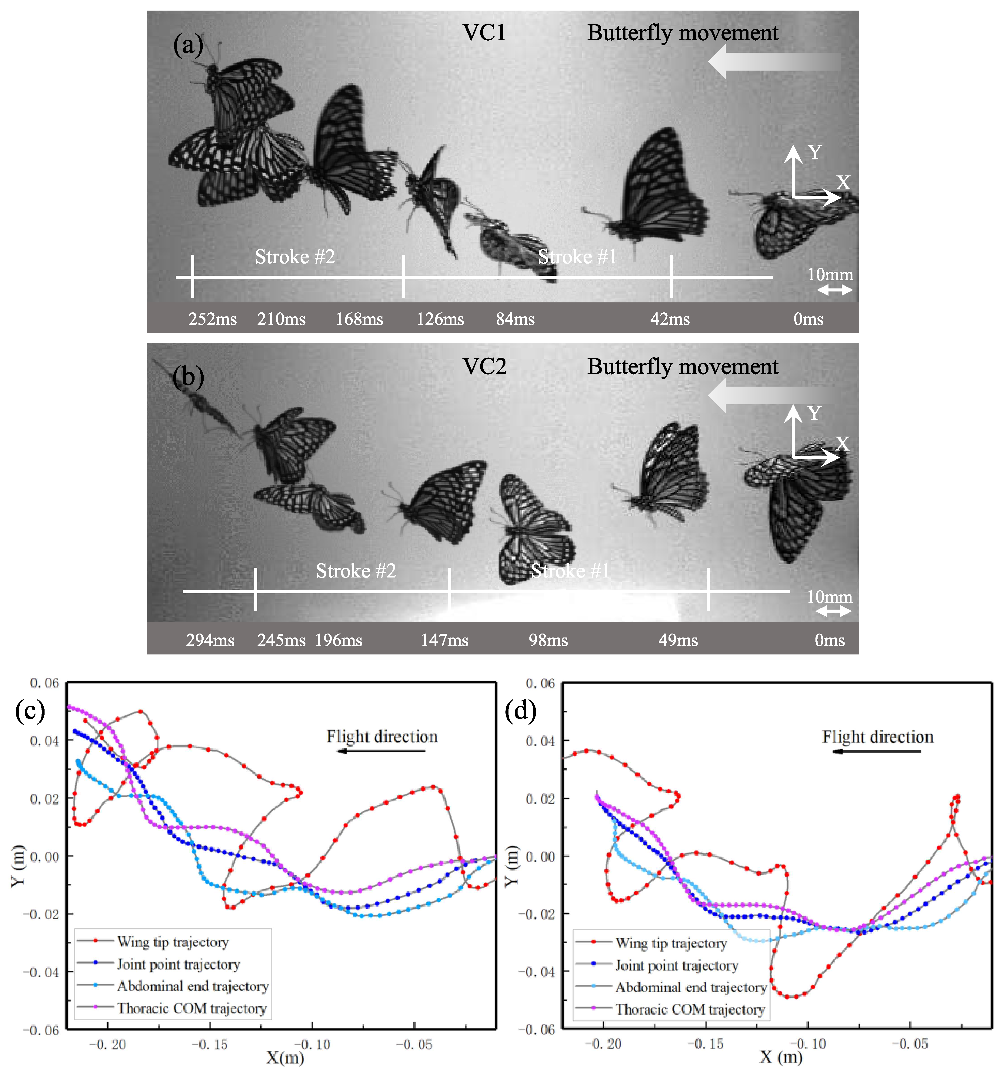 Applied Sciences Free Full Text Kinematic And Aerodynamic Investigation Of The Butterfly In Forward Free Flight For The Butterfly Inspired Flapping Wing Air Vehicle Html