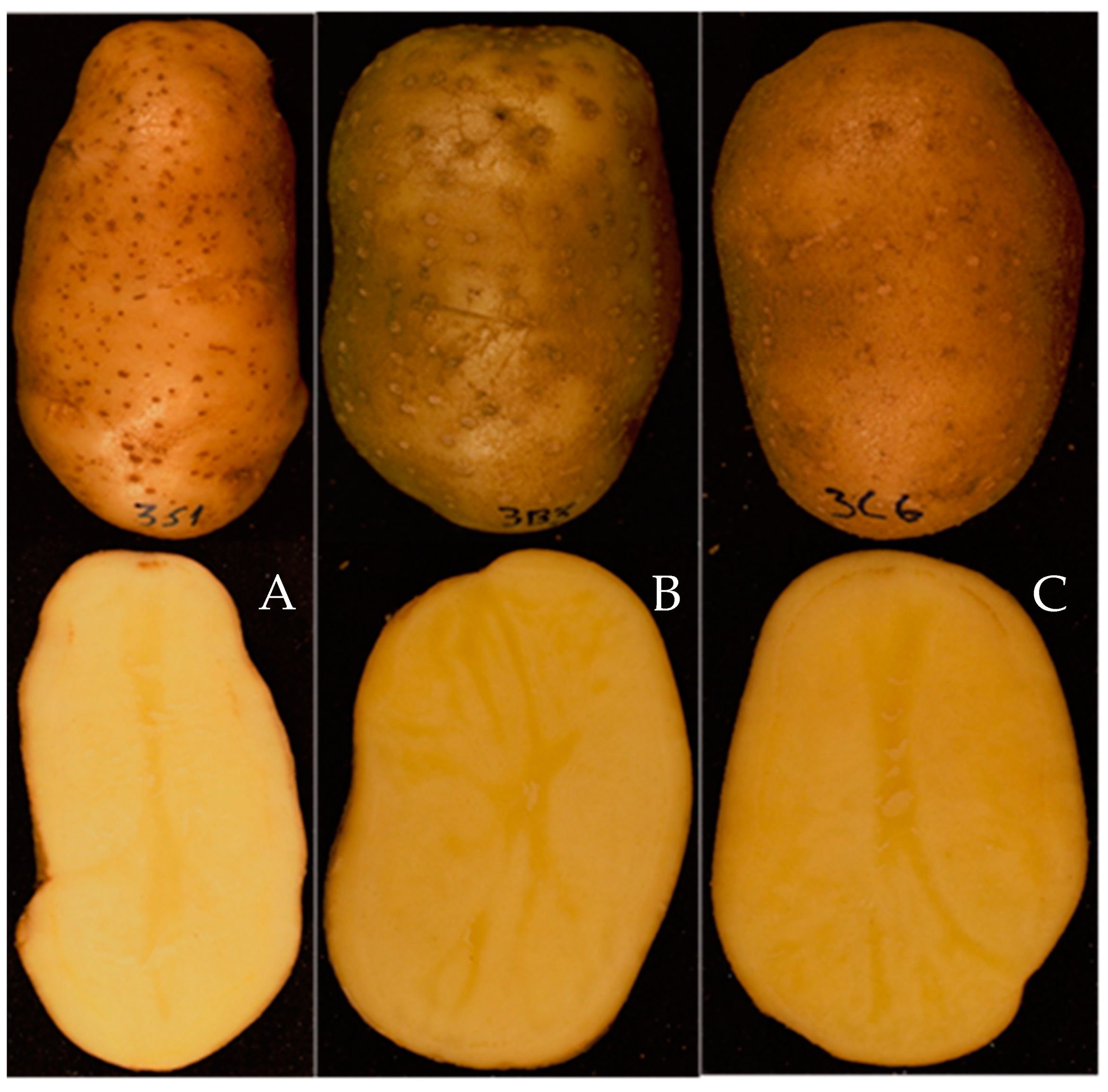 Applsci 11 02630 g001