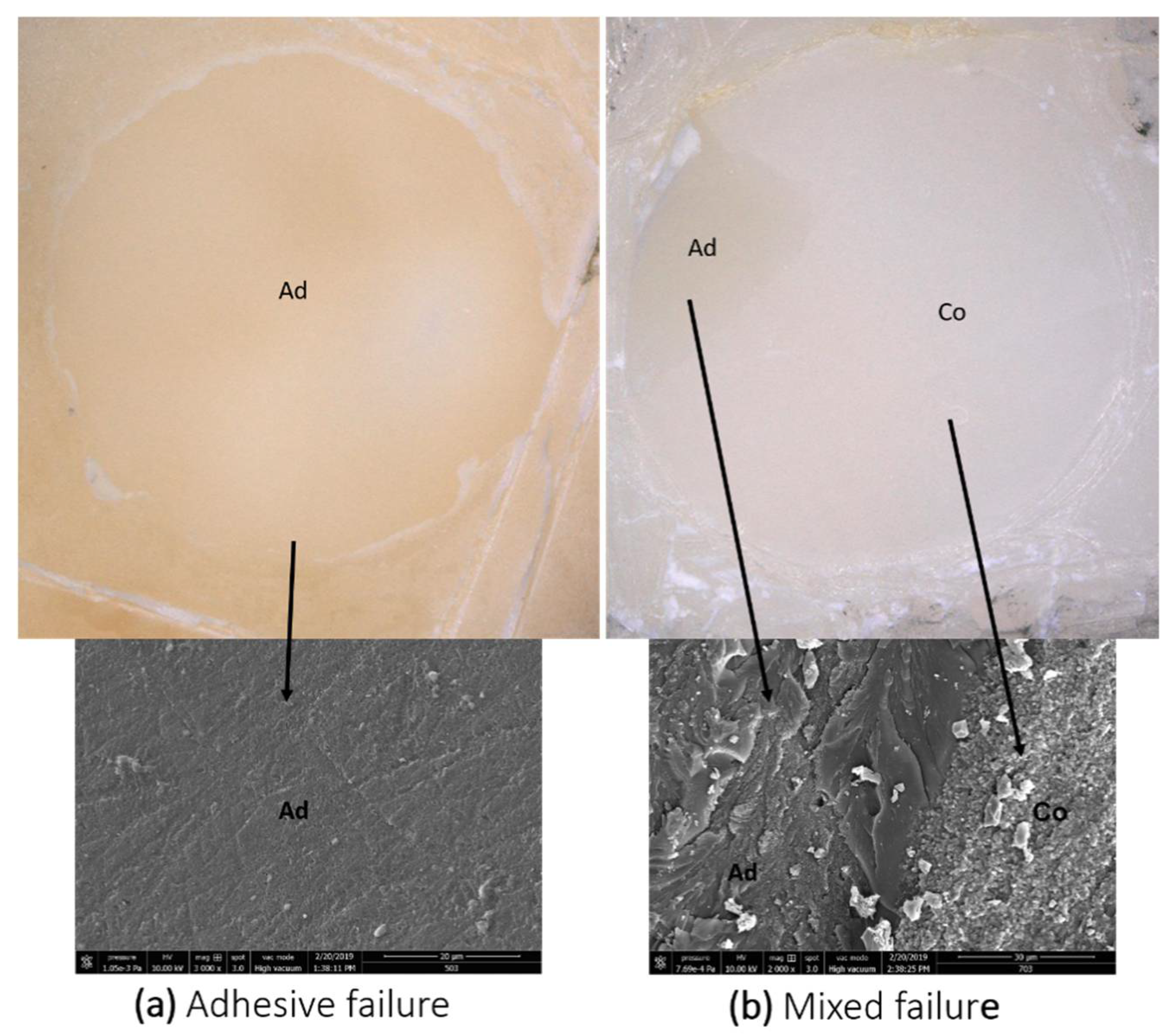 Applsci 11 02635 g002 Applsci 11 02635 g002
