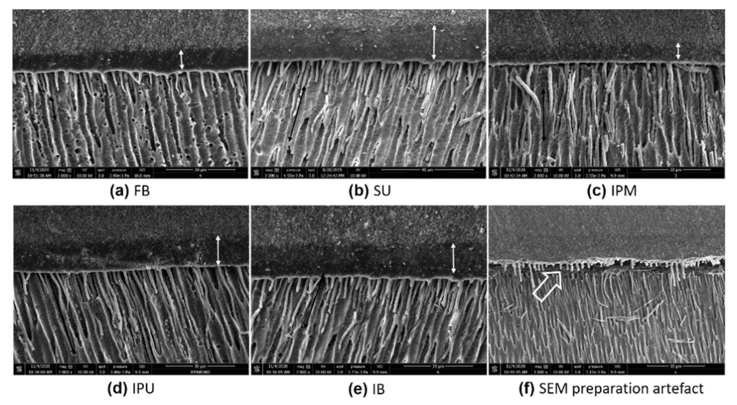 Applsci 11 02635 g003 Applsci 11 02635 g003