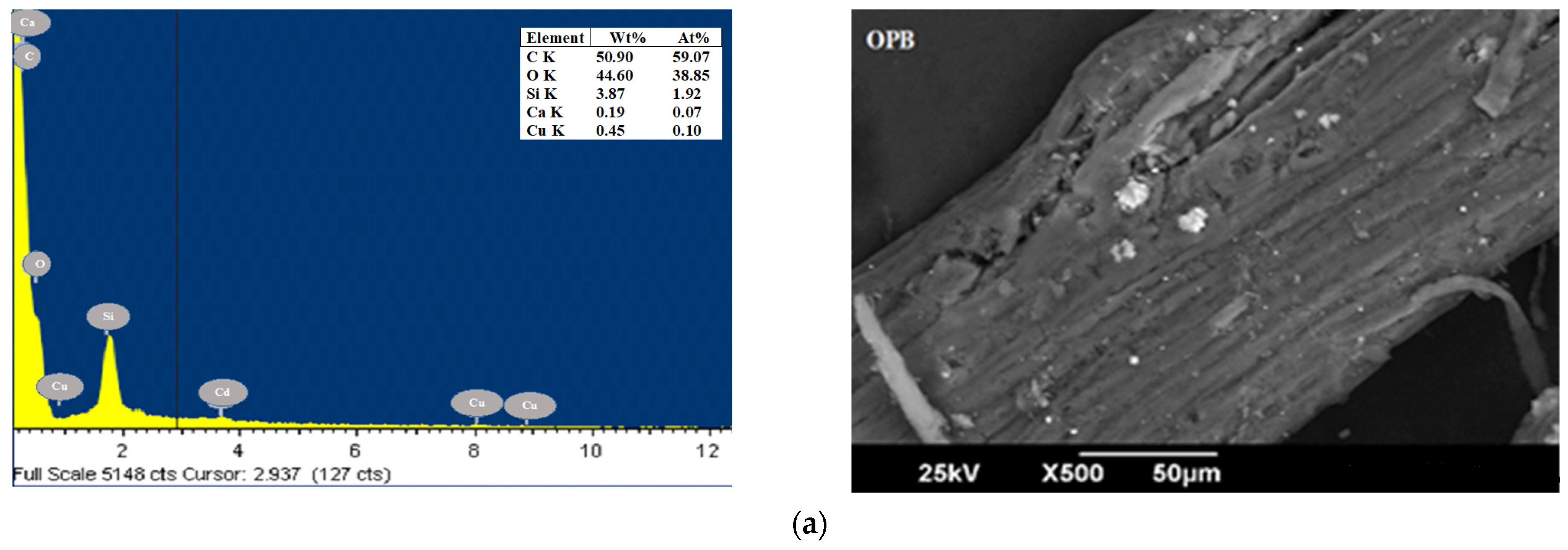 Applsci 11 02657 g002a Applsci 11 02657 g002a