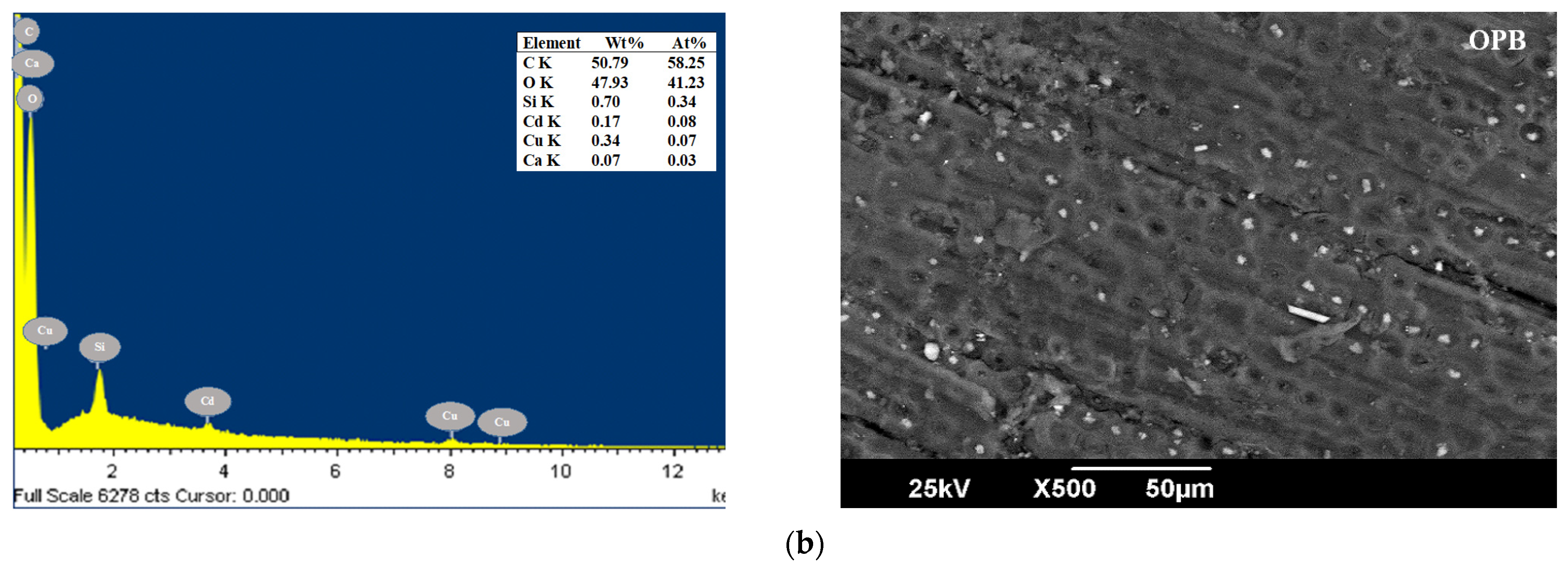 Applsci 11 02657 g002b Applsci 11 02657 g002b