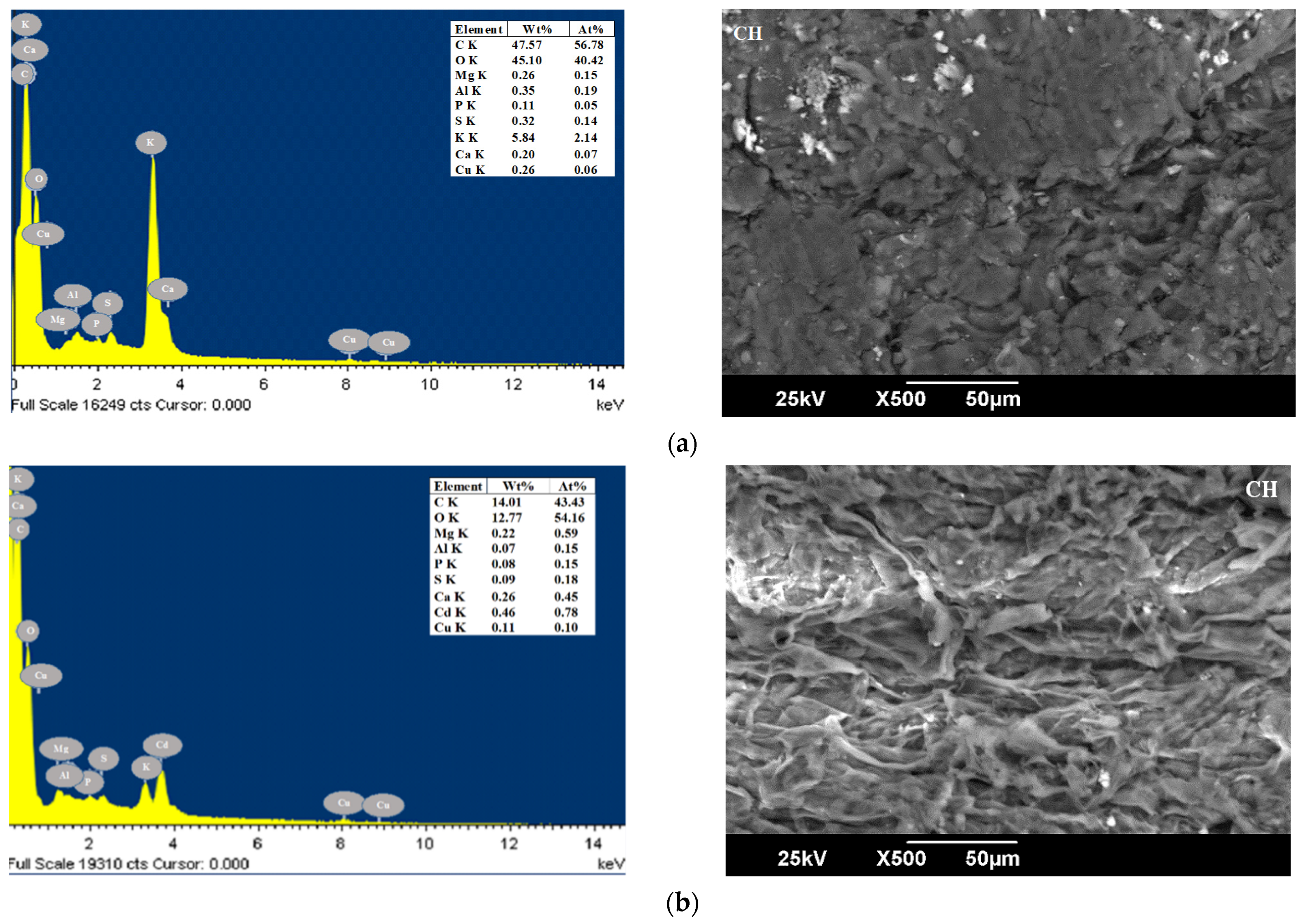 Applsci 11 02657 g003 Applsci 11 02657 g003