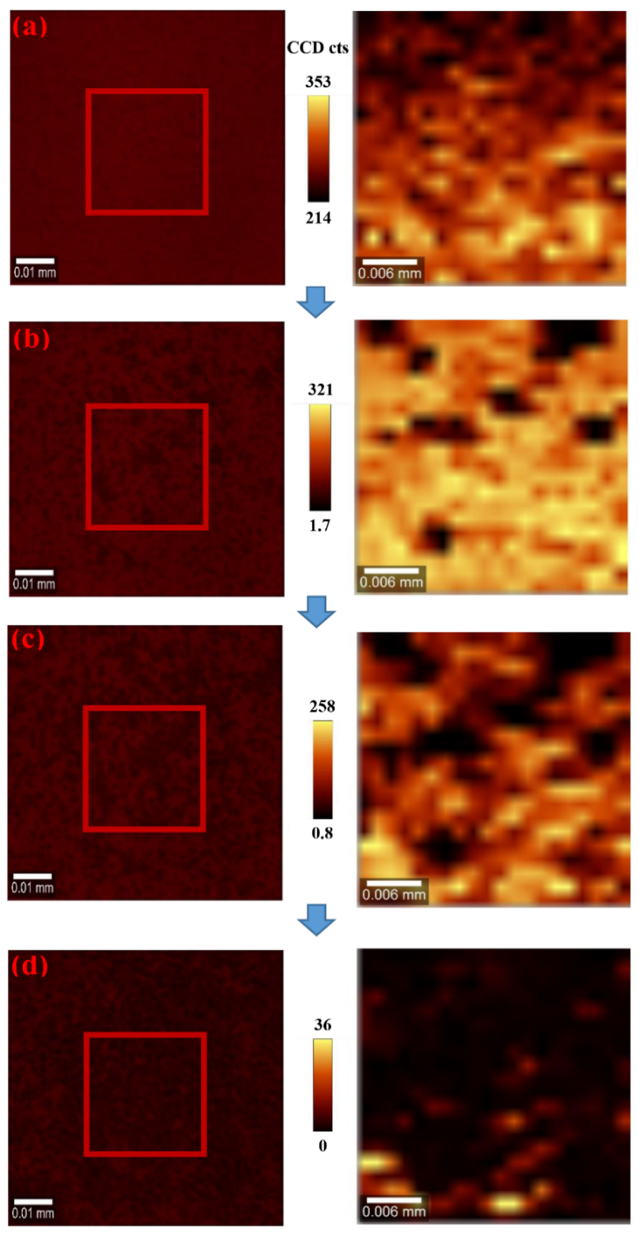 Applsci 11 02683 g004 Applsci 11 02683 g004