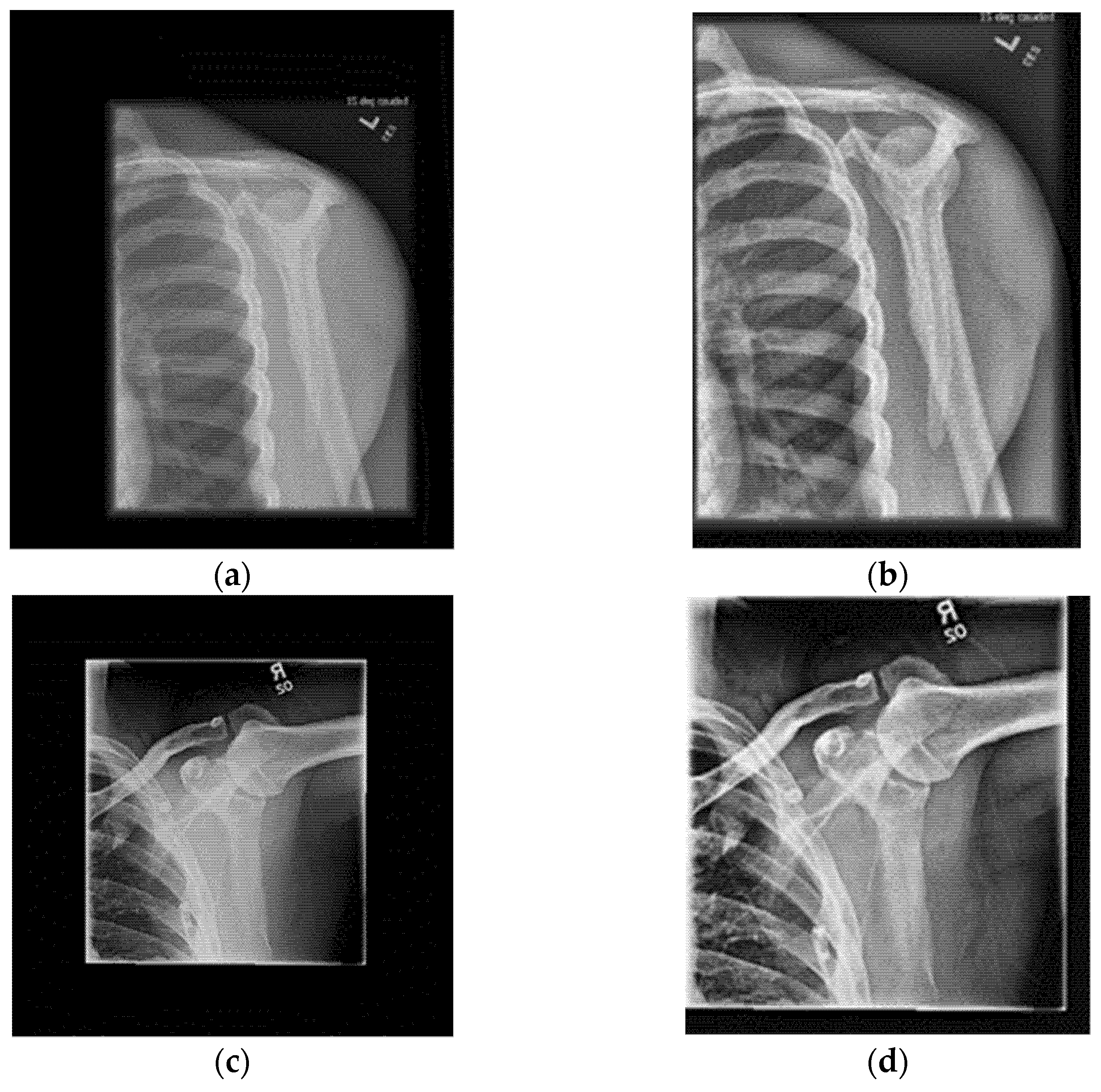 Applsci 11 02723 g020 Applsci 11 02723 g020