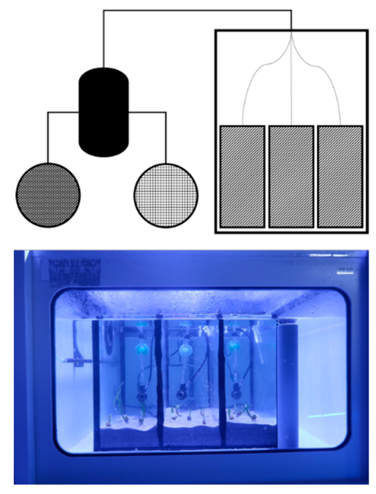 Applsci 11 02730 g001