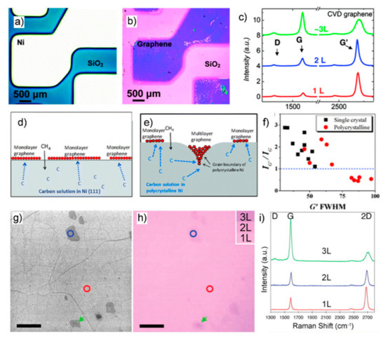 Directly Synthesized Graphene-Based Photonics and