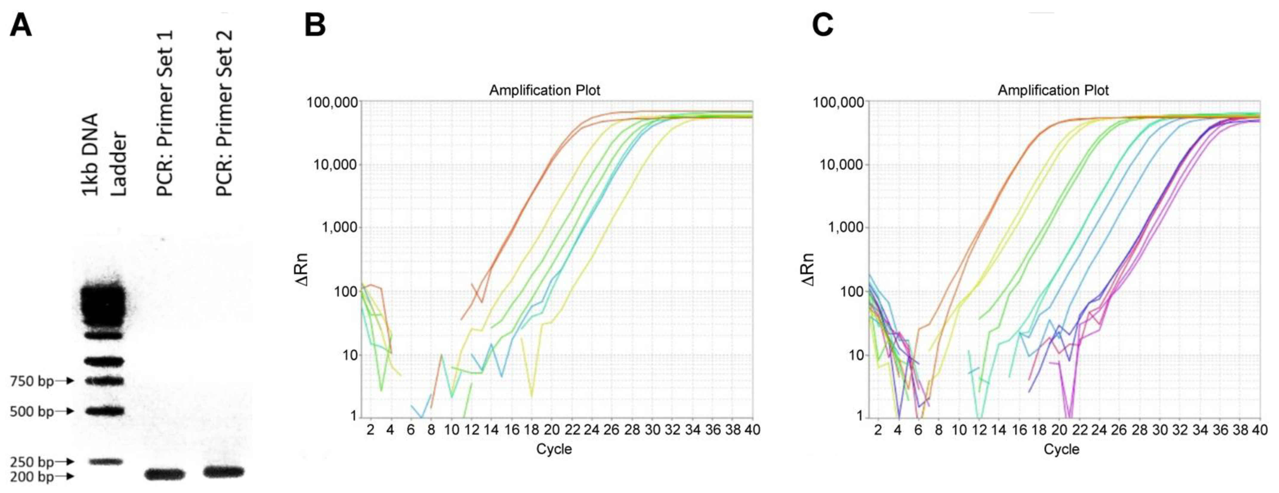 Applsci 11 02792 g002