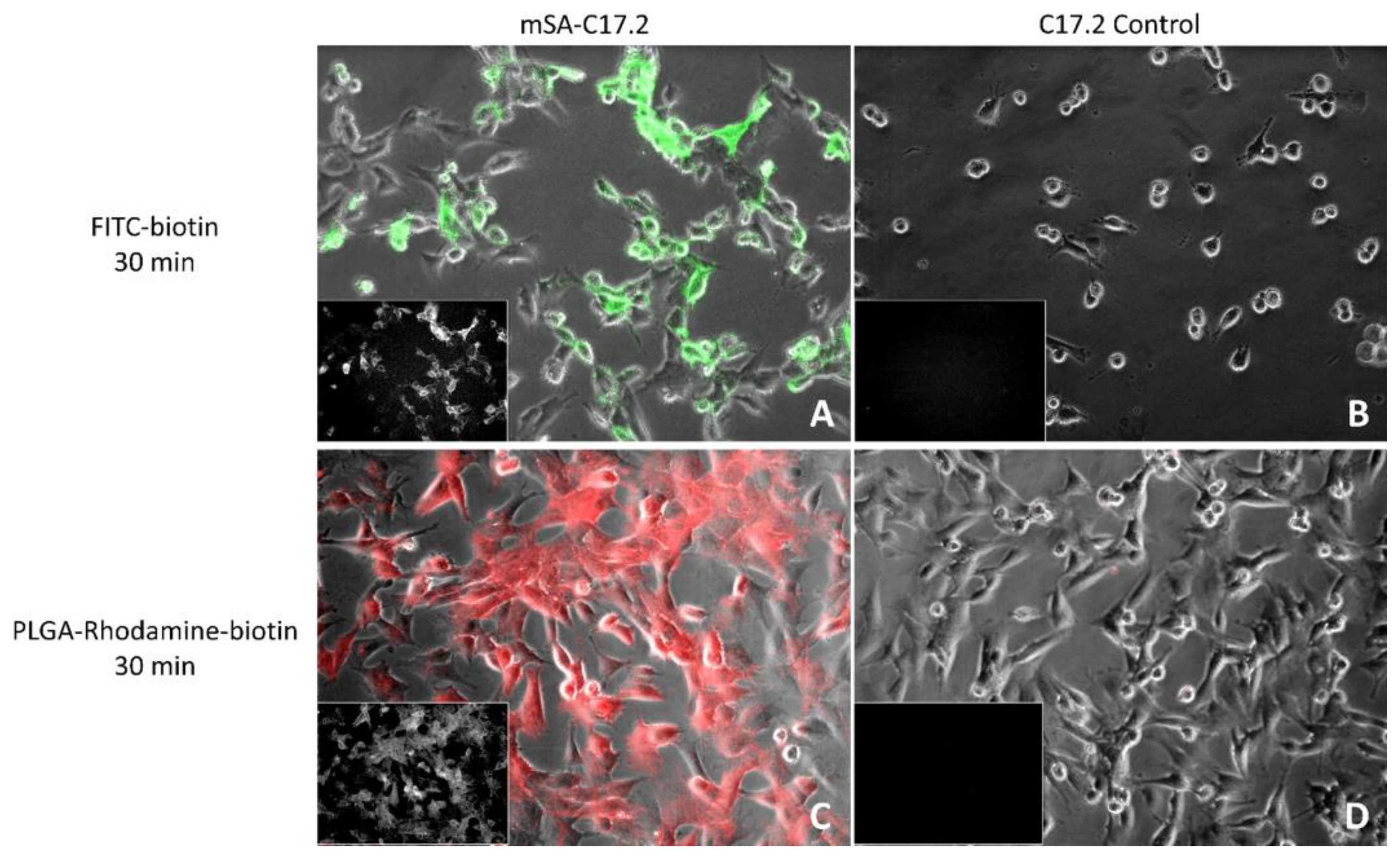 Applsci 11 02792 g004