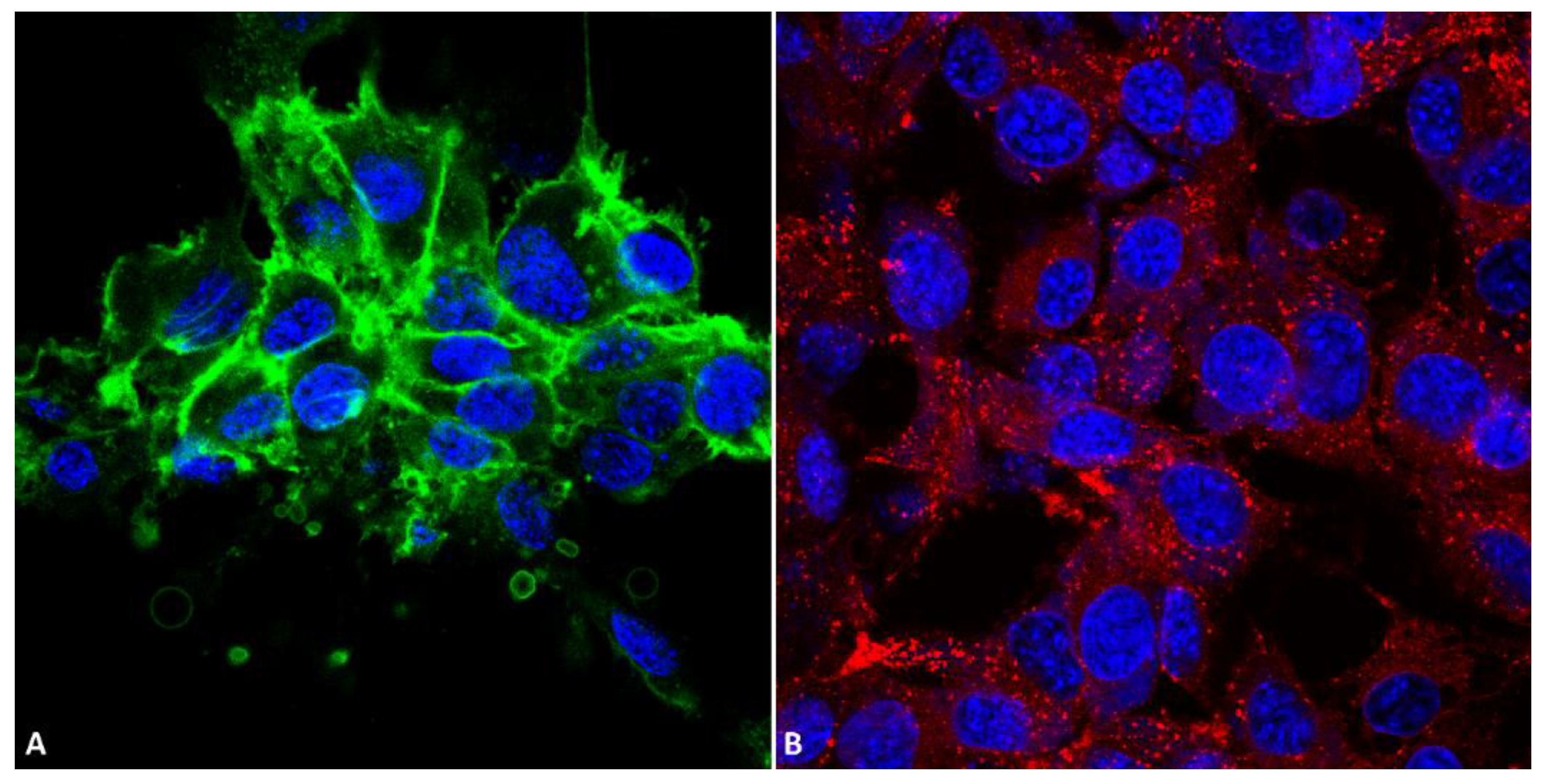 Applsci 11 02792 g006