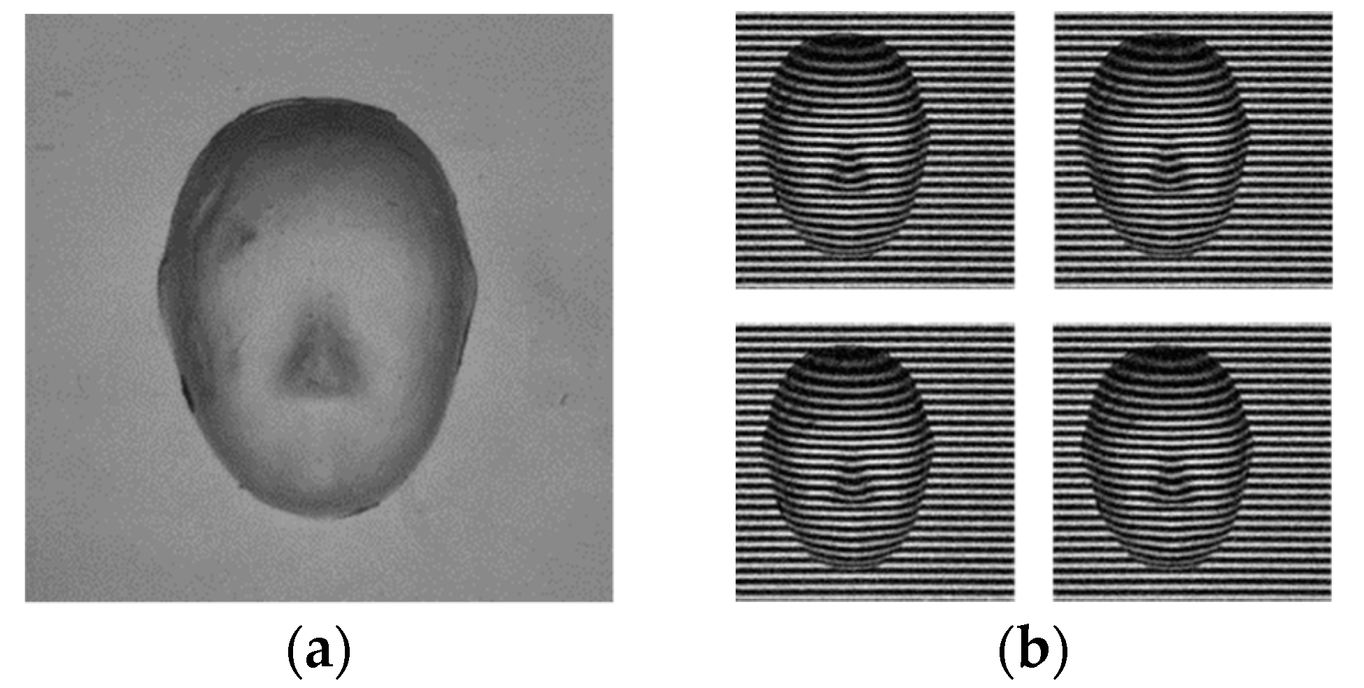 Applsci 11 02805 g004 Applsci 11 02805 g004