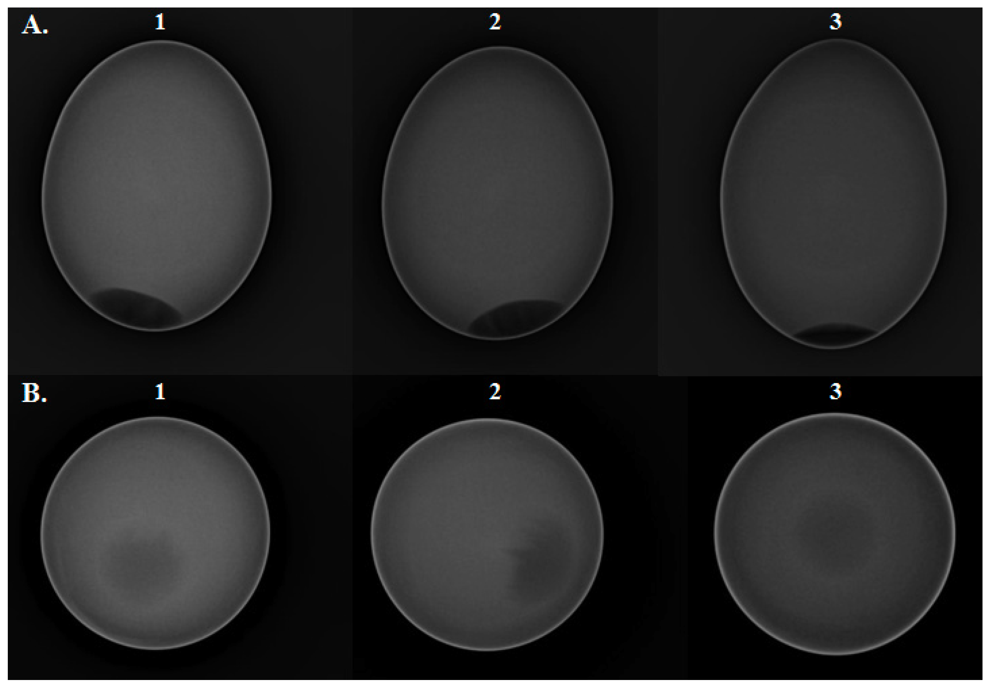 Applsci 11 02815 g002