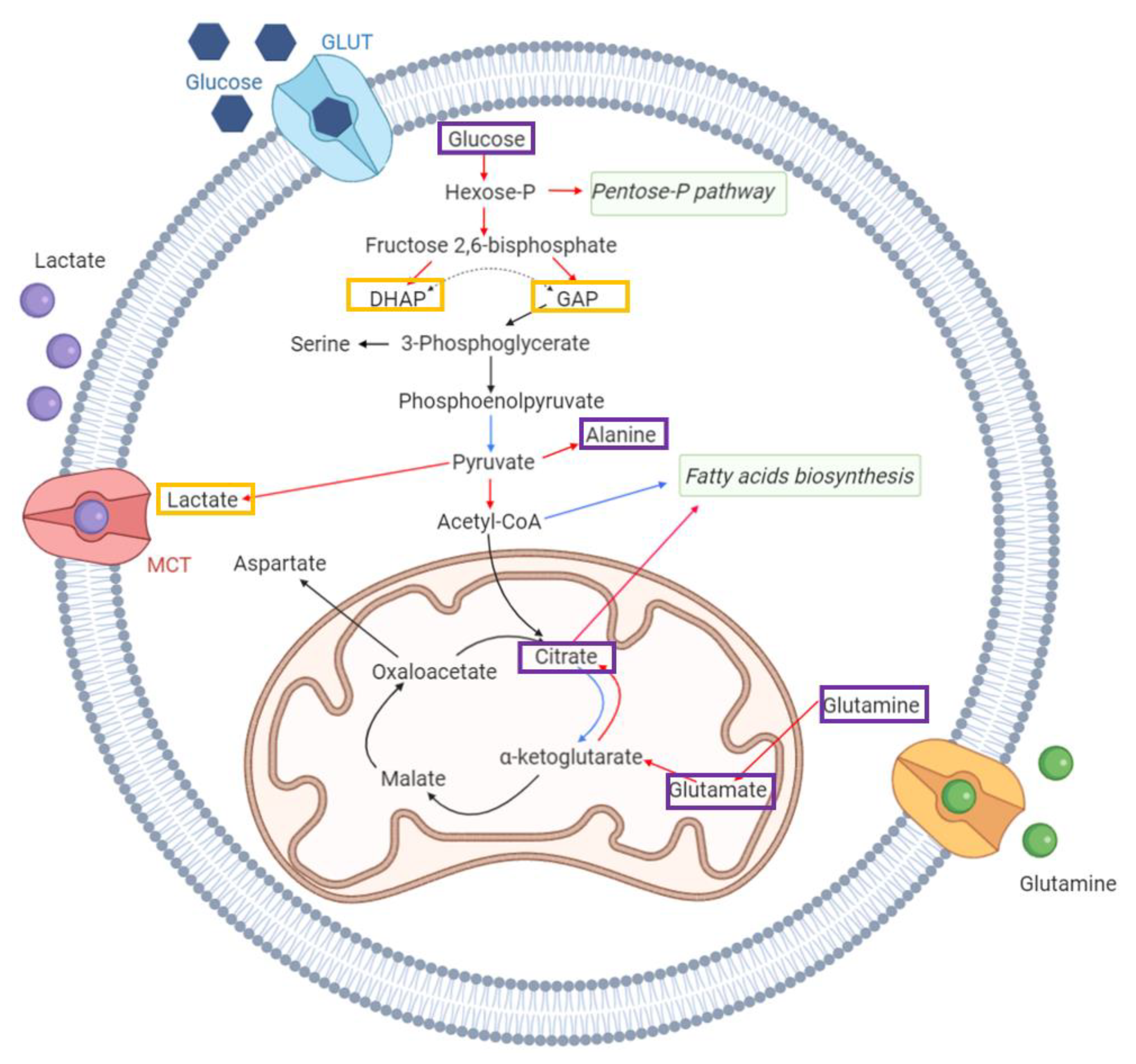 Applsci 11 02835 g005 Applsci 11 02835 g005