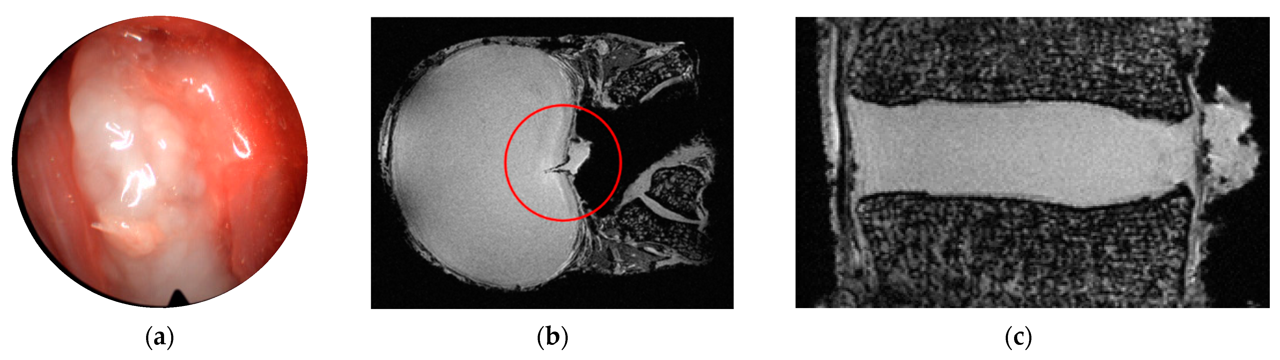 Applsci 11 02847 g001 Applsci 11 02847 g001