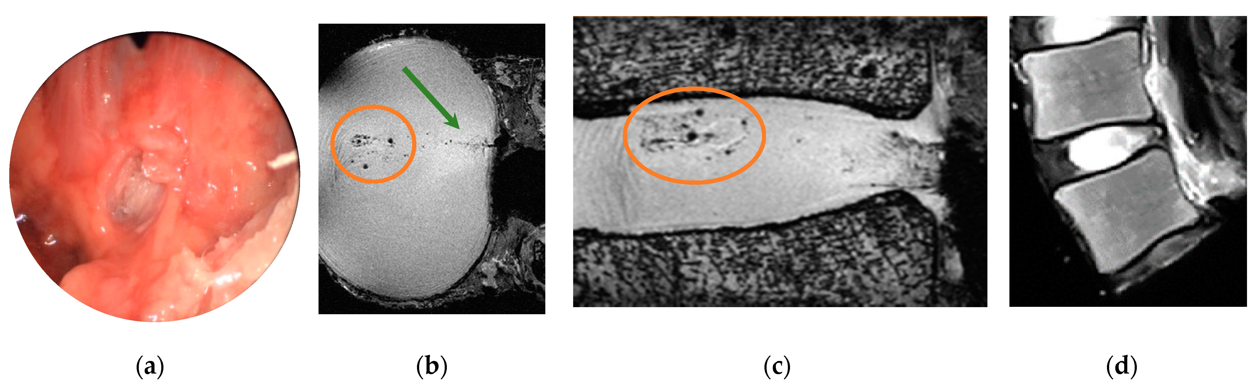 Applsci 11 02847 g004 Applsci 11 02847 g004