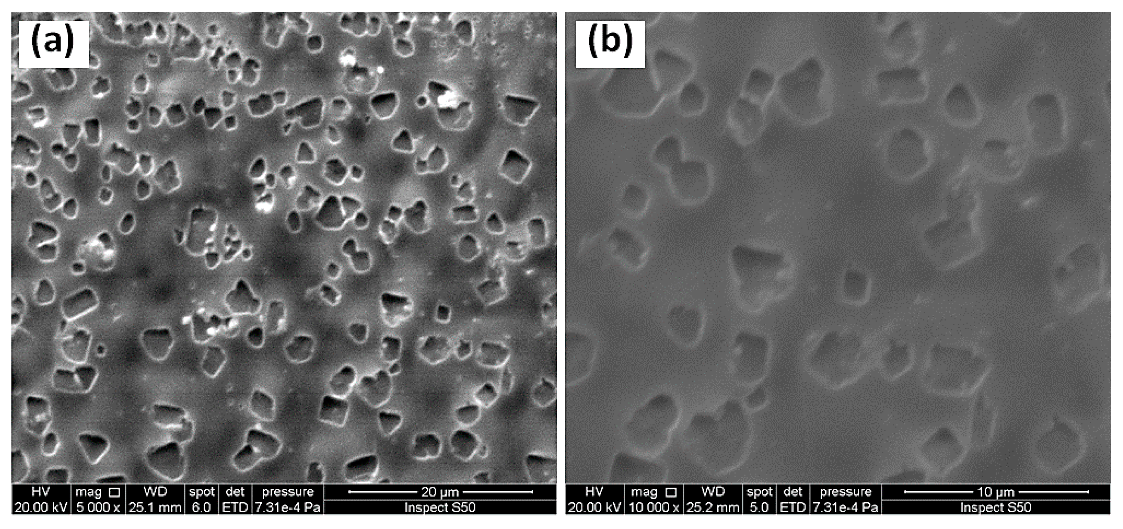 Applsci 11 02853 g008 Applsci 11 02853 g008