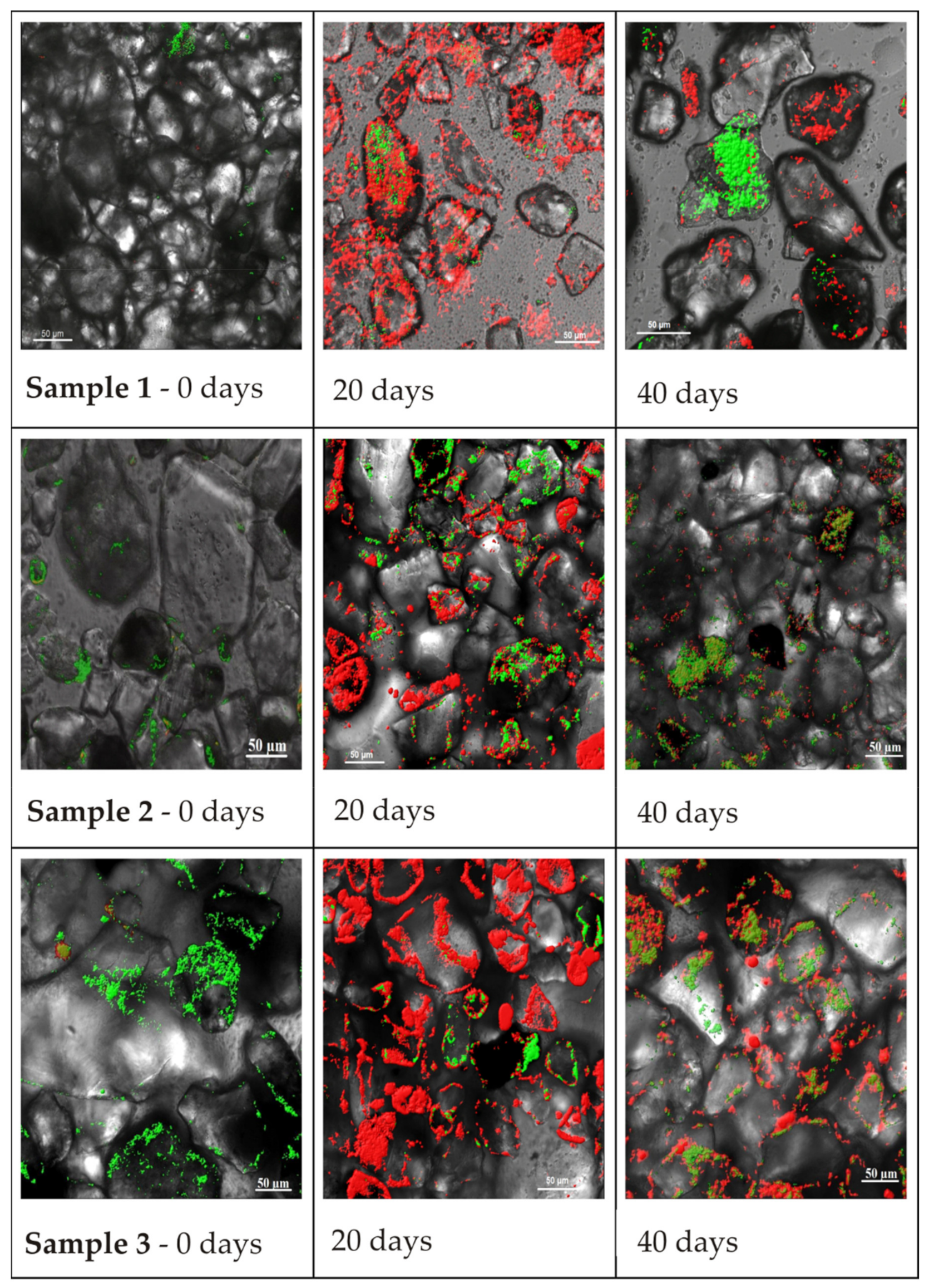 Applsci 11 02875 g004