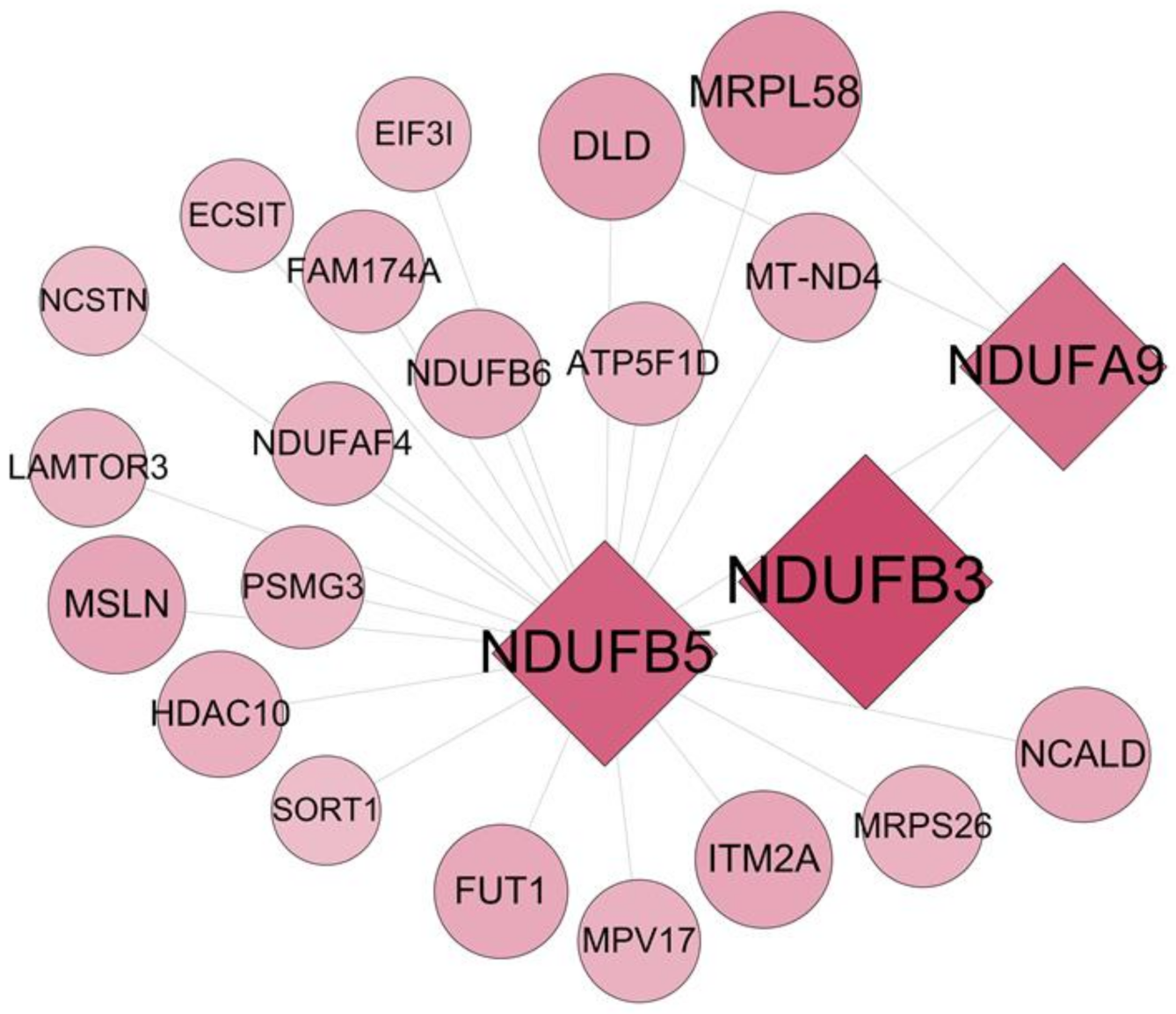 Applsci 11 02897 g007