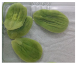 Applsci 11 02918 i002