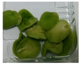 Applsci 11 02918 i006