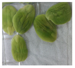 Applsci 11 02918 i008