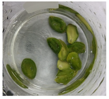 Applsci 11 02918 i009