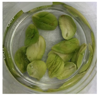 Applsci 11 02918 i010