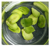 Applsci 11 02918 i013