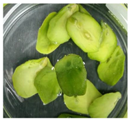 Applsci 11 02918 i015