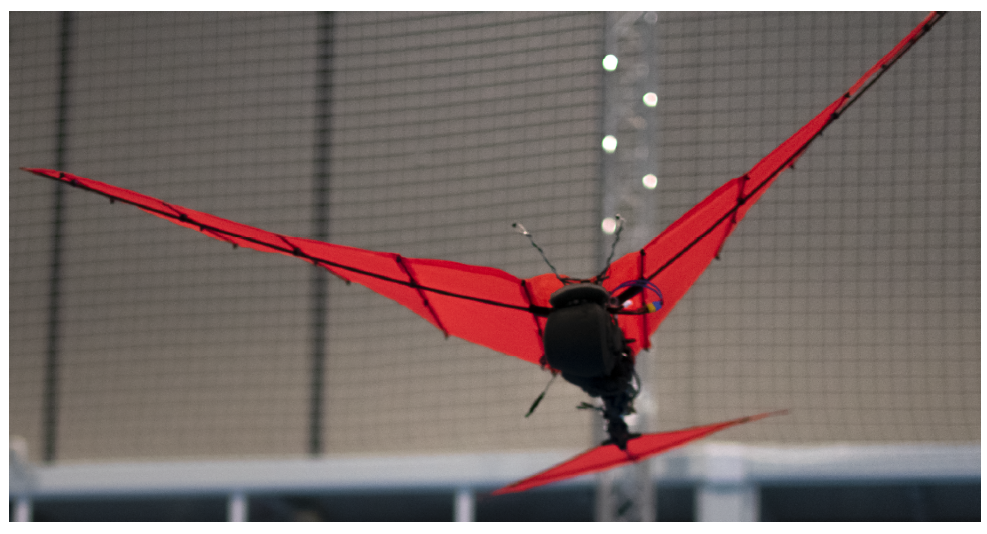 Applsci 11 02930 g001 Applsci 11 02930 g001