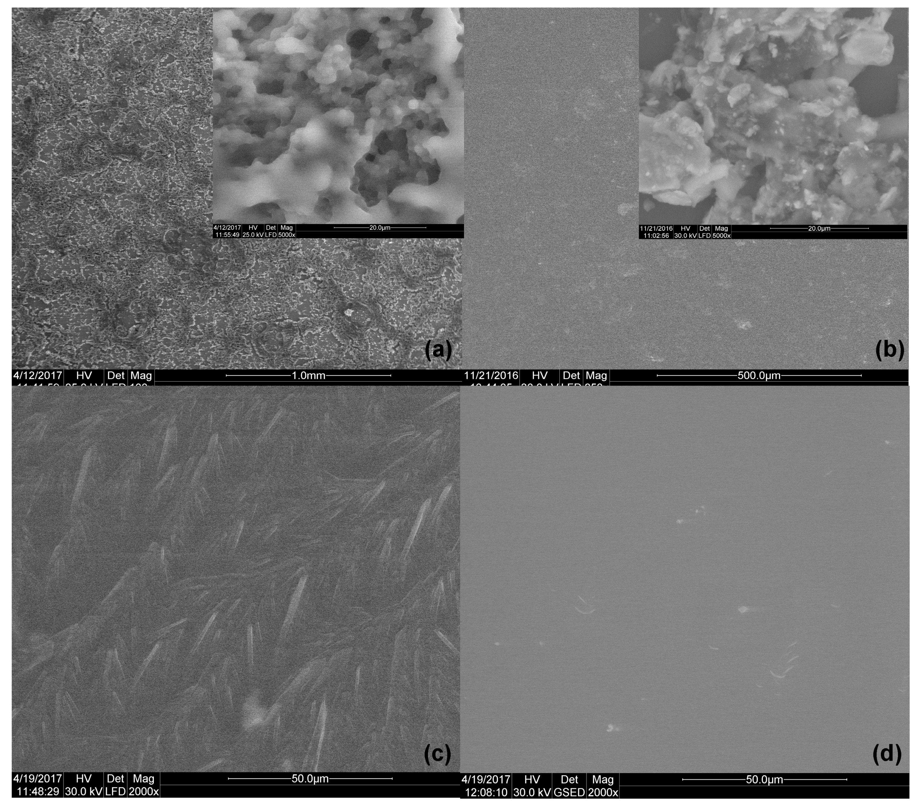 Applsci 11 02956 g003 Applsci 11 02956 g003