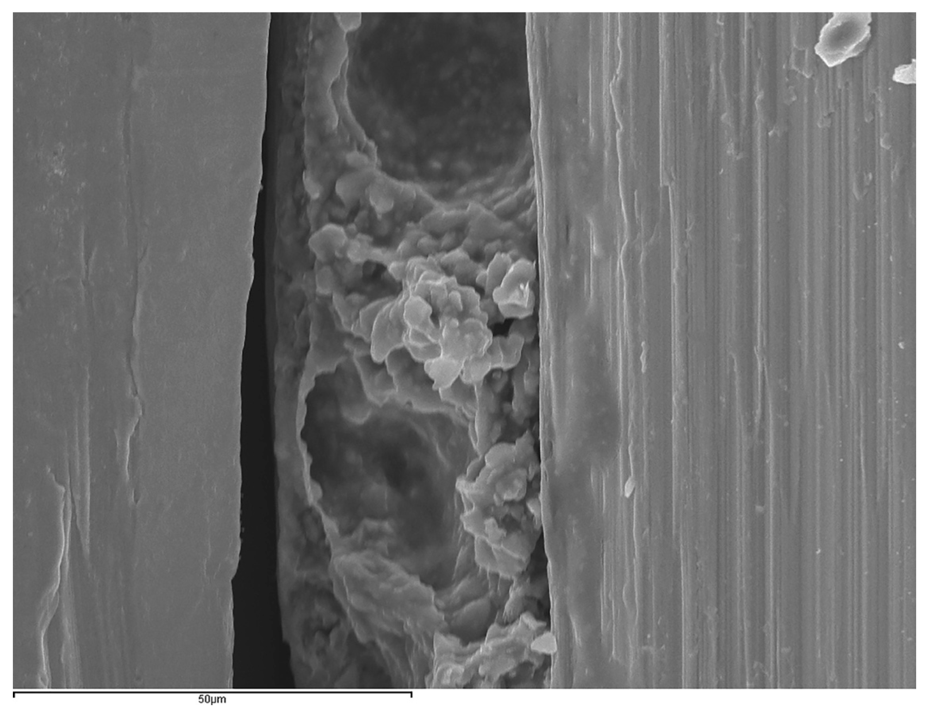 Applsci 11 02988 g003 Applsci 11 02988 g003