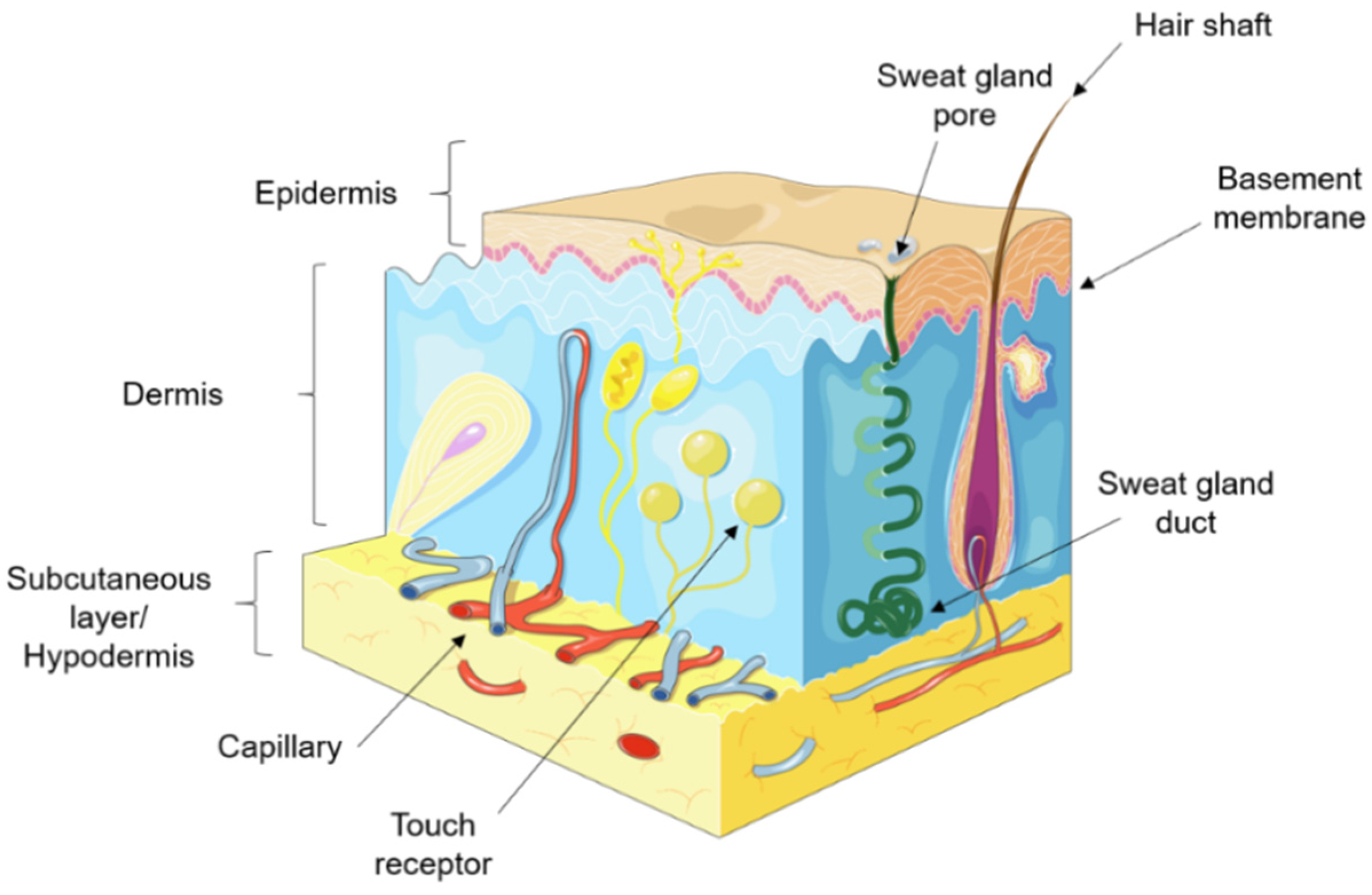 Applsci 11 03000 g001