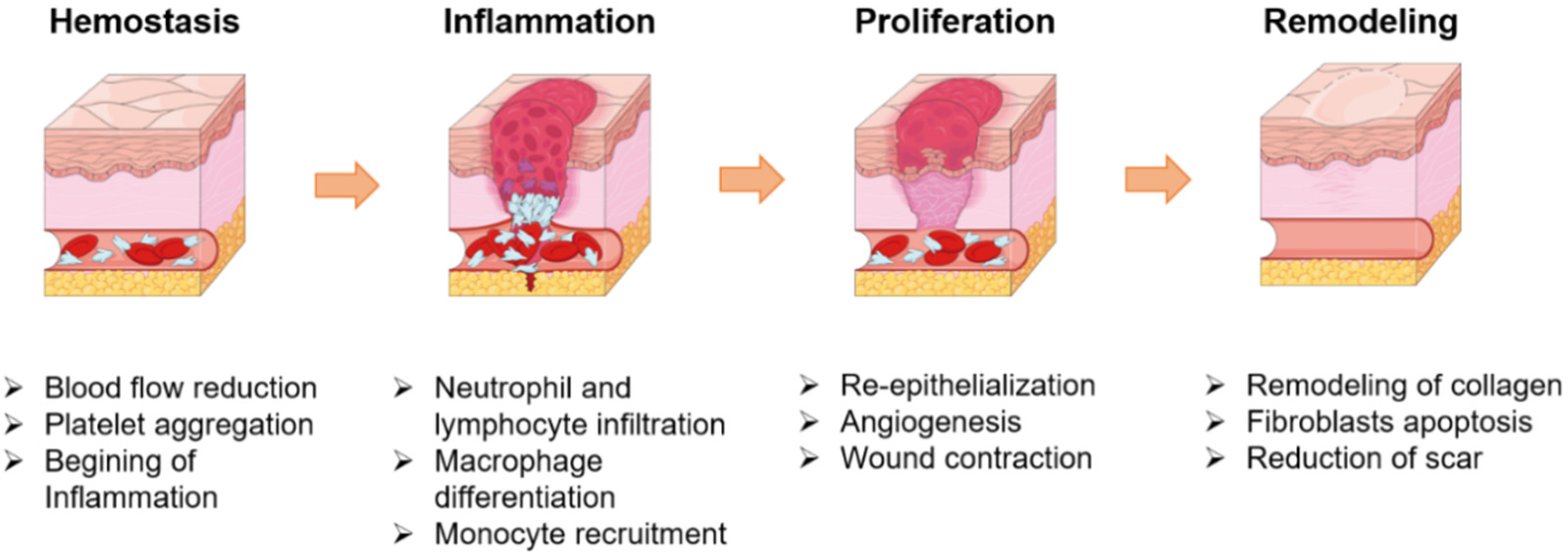 Applsci 11 03000 g002