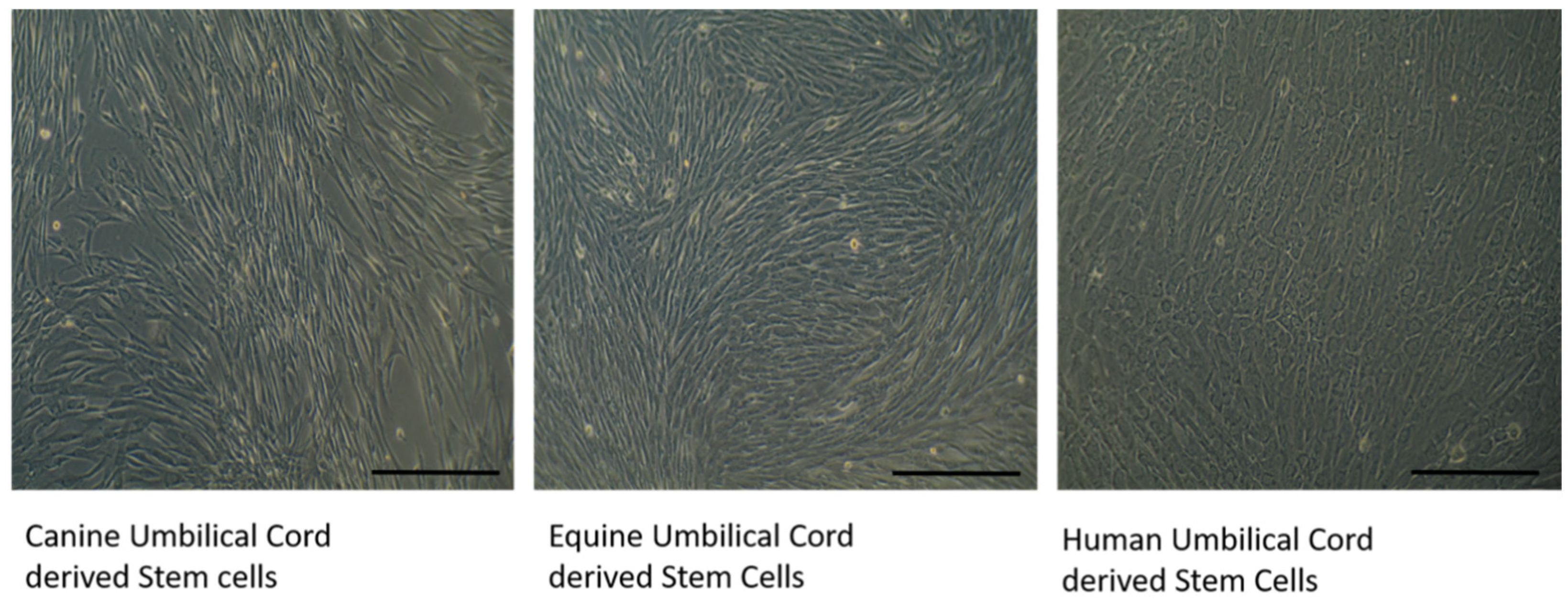Applsci 11 03000 g003