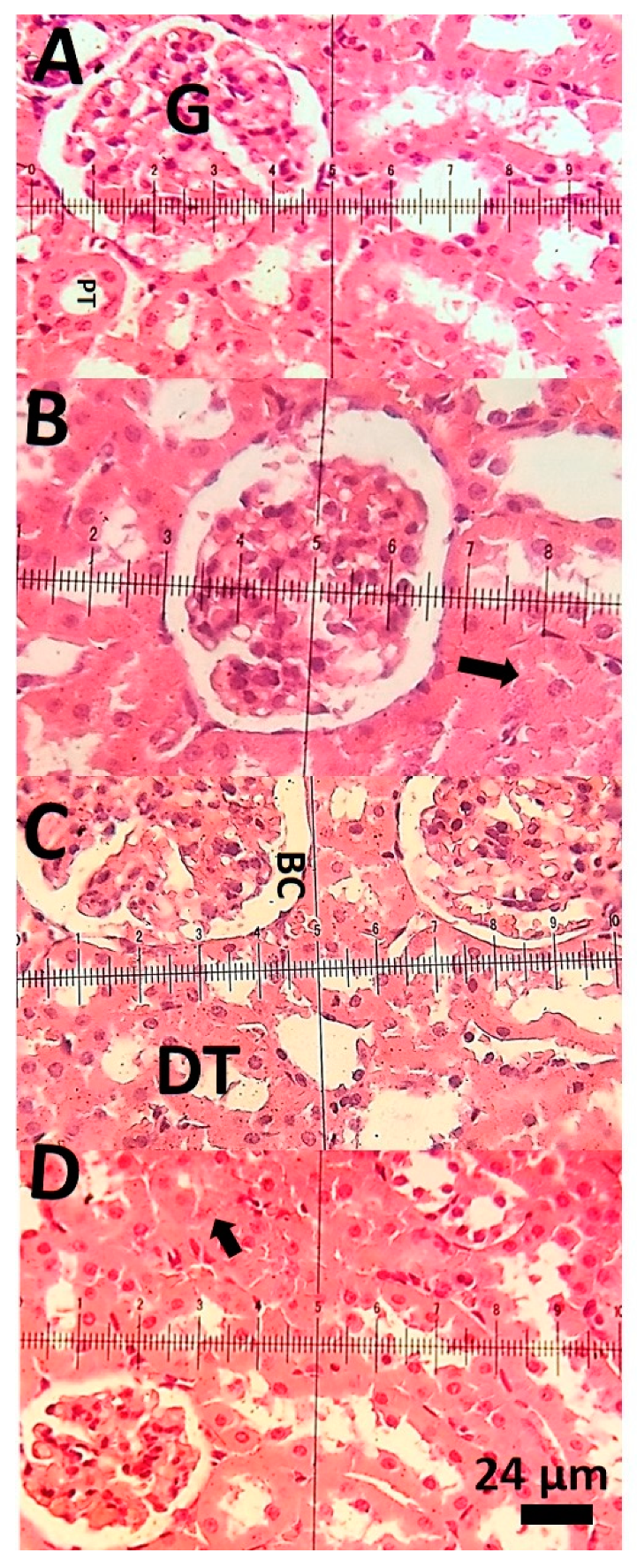 Applsci 11 03006 g004 Applsci 11 03006 g004