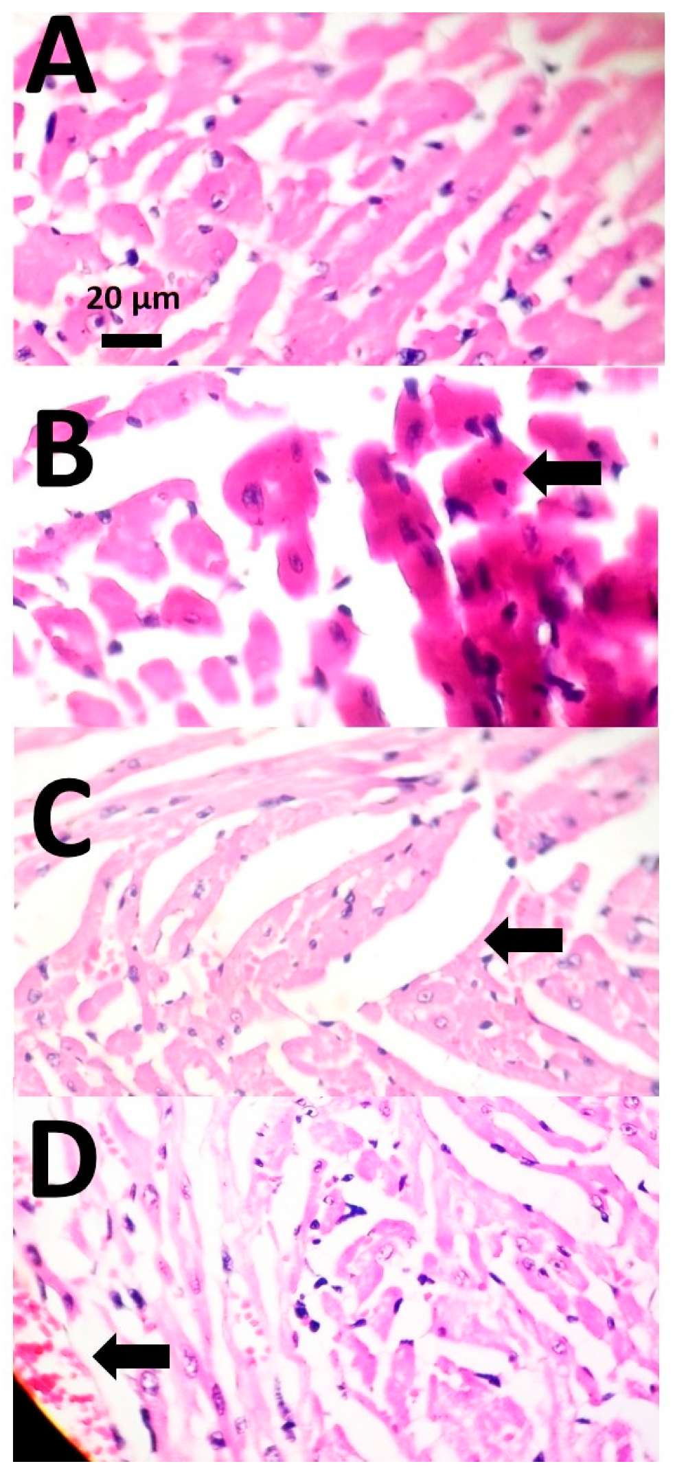 Applsci 11 03006 g006 Applsci 11 03006 g006
